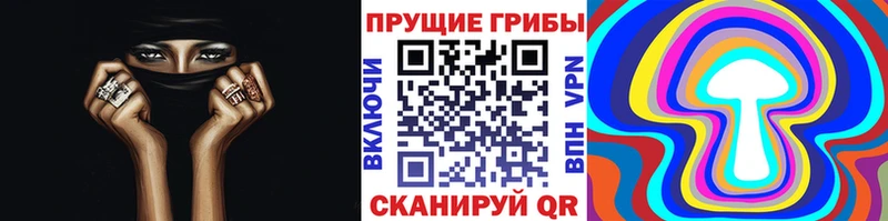 Галлюциногенные грибы Psilocybine cubensis  Дмитров 